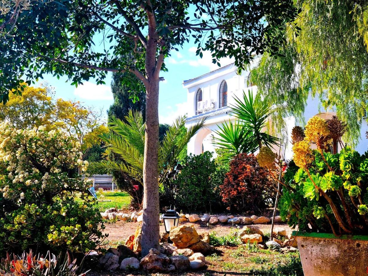 Chalet Alicante Sol Y Luz San Vicente Raspeig Exterior foto